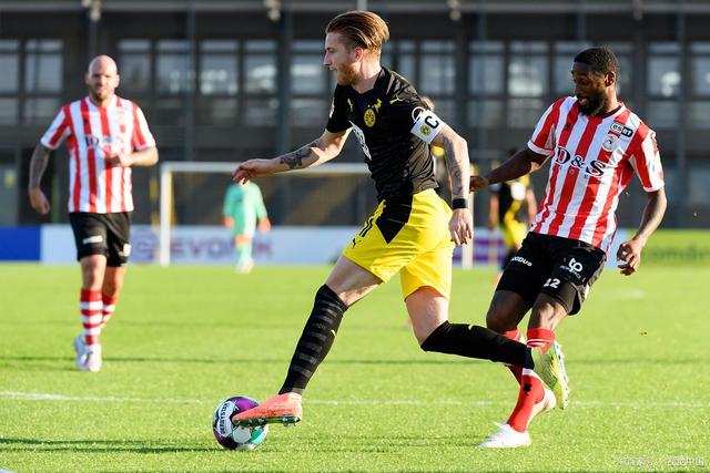 甲的一场焦 甲的一场焦